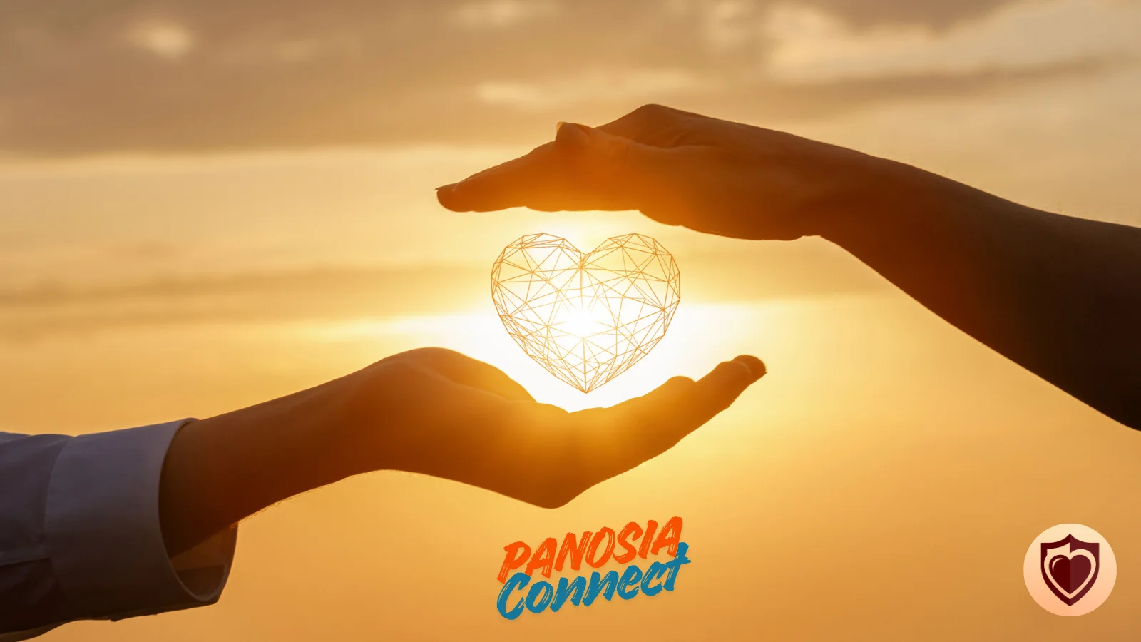 Why did we create Panosia Connect?
